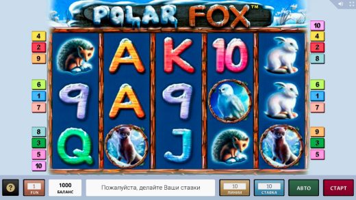 Обзор Polar Fox