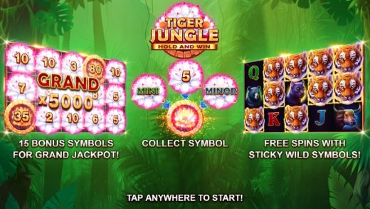 Обзор Tiger Jungle Hold and Win