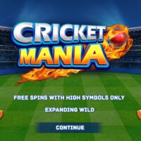 Обзор Cricket Mania