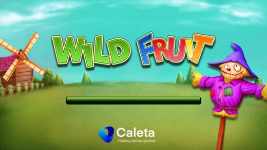 Обзор Wild Fruit