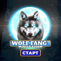 Обзор Wolf Fang Winter Storm
