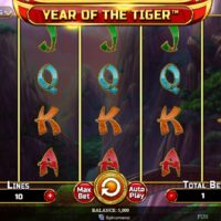 Обзор Year of the Tiger
